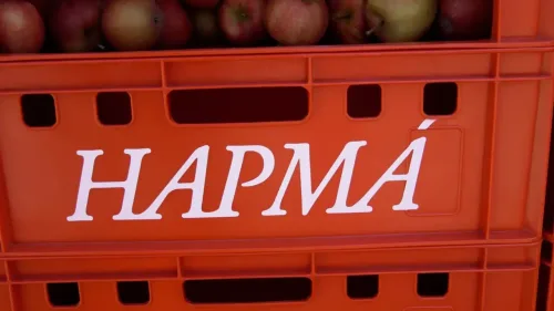 В Дербенте стартовал III фестиваль современного искусства «НАРМА» с темой «Навигация внимания»